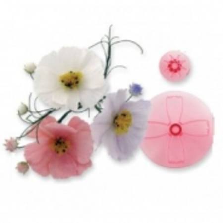 Cosmos and Calyx set of 2